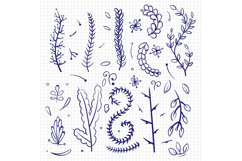 hand-drawn-doodle-branches-and-decorative-elements