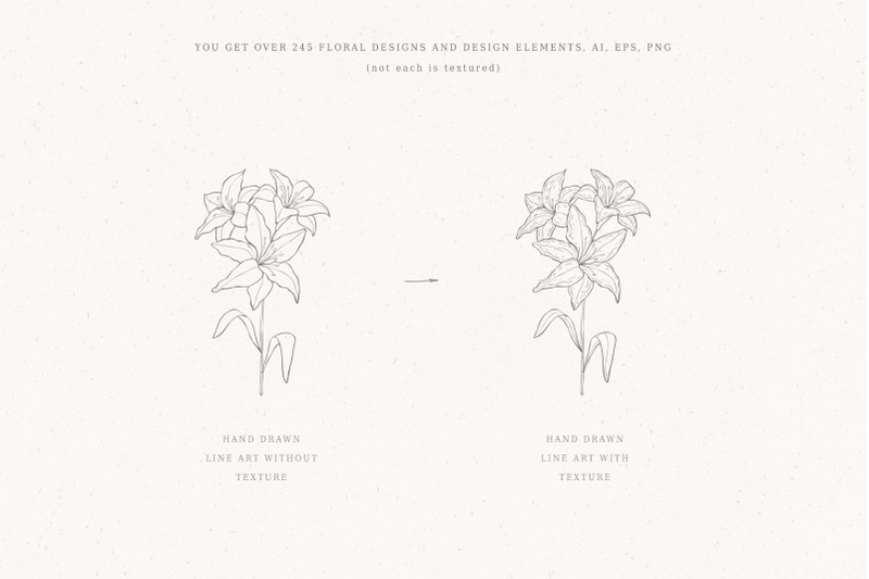 botanical-hand-drawn-designs-logo-frames