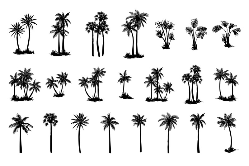 hand-drawn-palm-tree-set