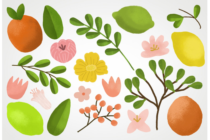 citrus-grove-illustrations