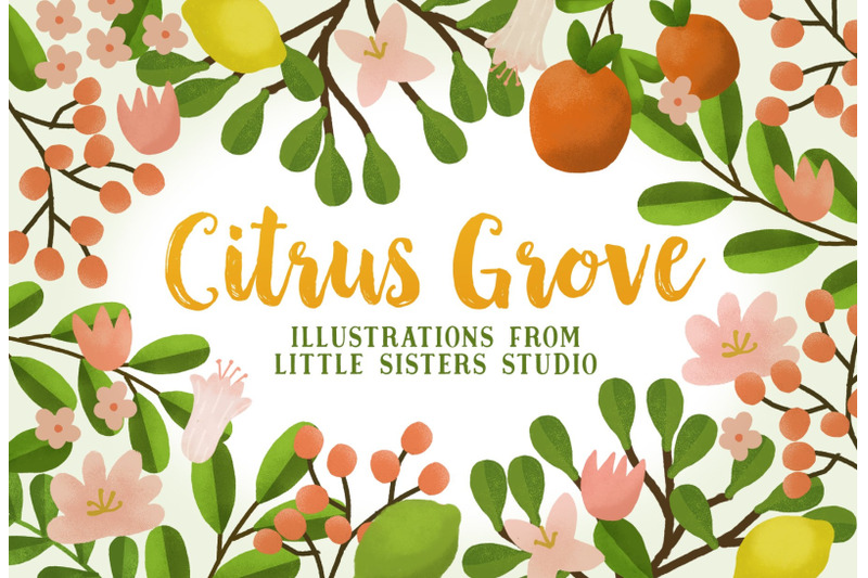 citrus-grove-illustrations