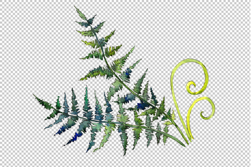 fern-watercolor-png