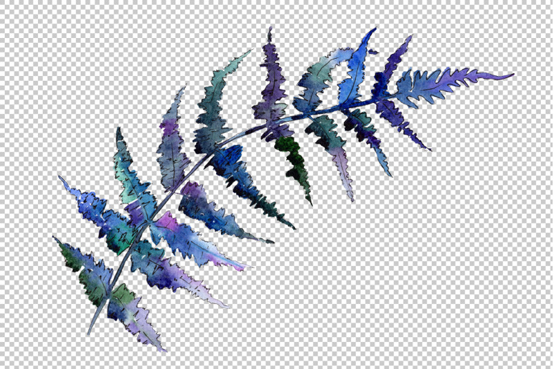 polypodiopsis-fern-watercolor-png