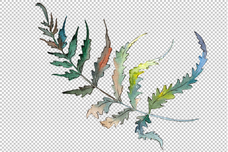 polypodiopsis-fern-watercolor-png