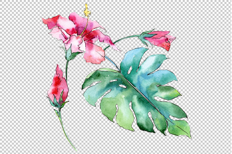 tropical-plants-watercolor-png