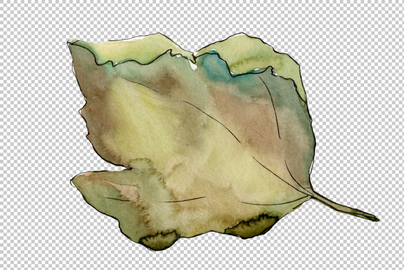 gooseberry-plain-watercolor-png