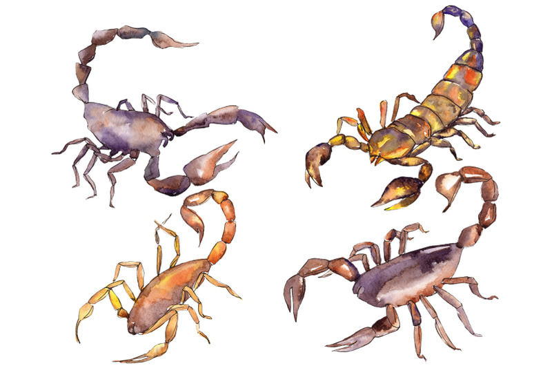 animal-world-scorpion-watercolor-png