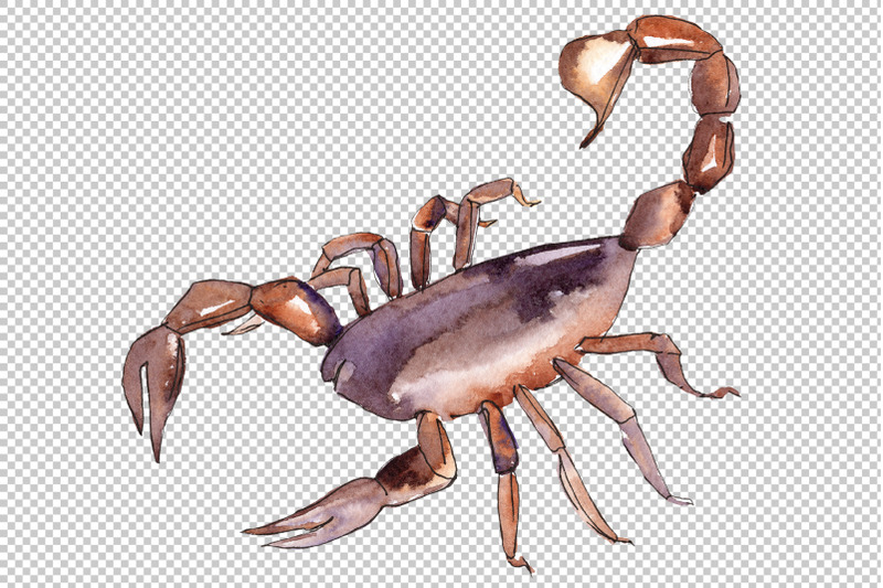 animal-world-scorpion-watercolor-png