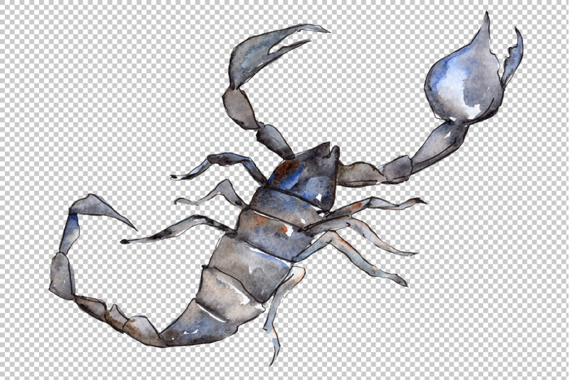 animal-scorpion-watercolor-png