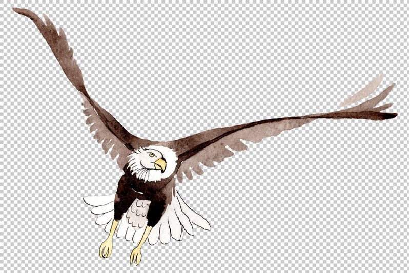 american-bald-eagle-watercolor-png