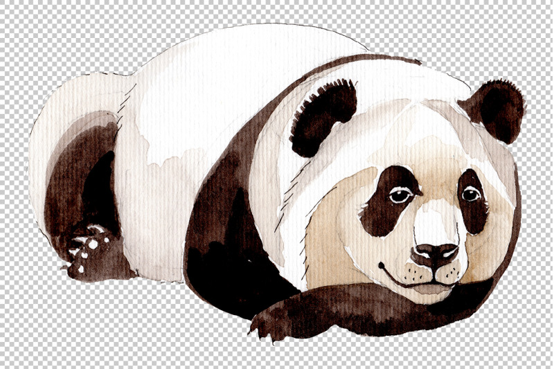 animal-panda-watercolor-png