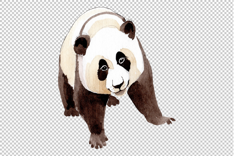 animal-panda-watercolor-png