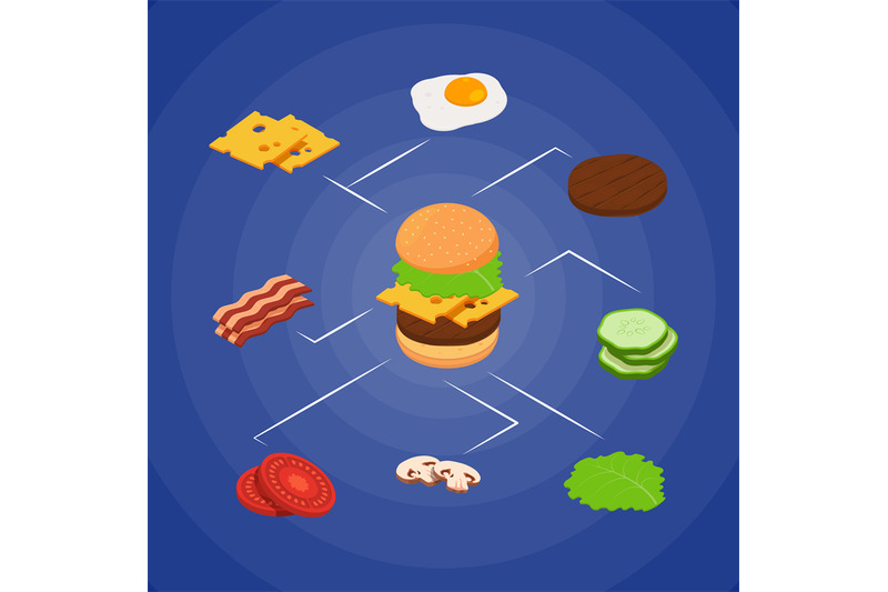 vector-isometric-burger-ingredients-infographic-concept-illustration