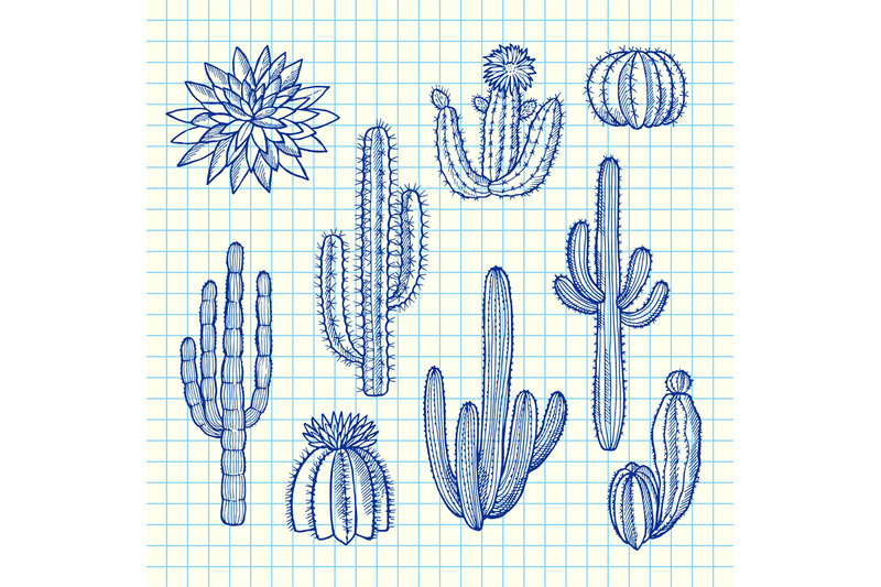 vector-hand-drawn-wild-cacti-plants-set-on-blue-cell-sheet-background