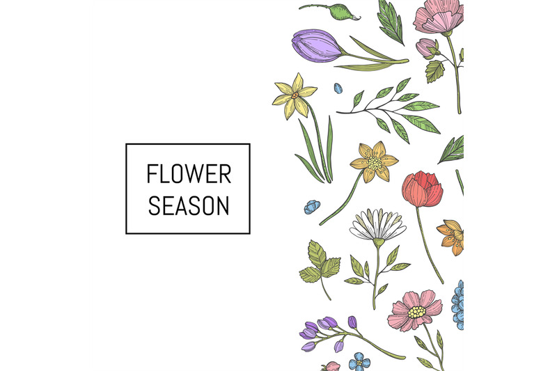 vector-hand-drawn-flowers-background-illustration-banner