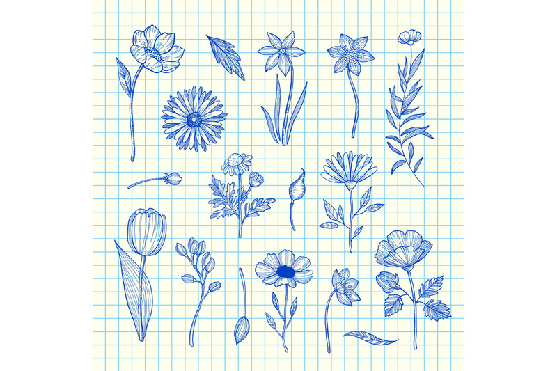 vector-hand-drawn-flowers-set-on-blue-cell-sheet-background-illustrati