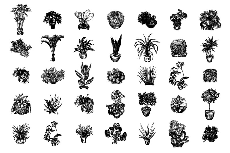 home-plants-sketch-illustration-set-nbsp