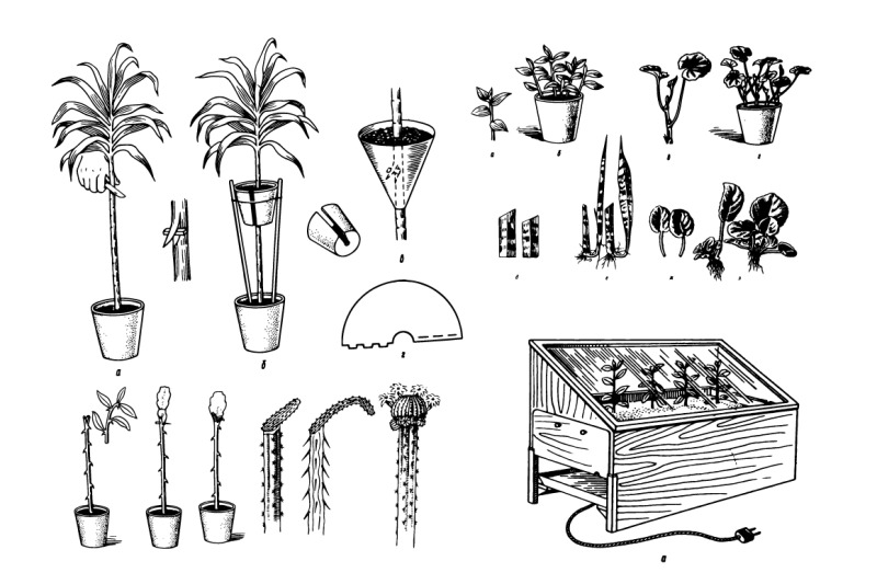 houseplants-hand-drawn-sketch-set