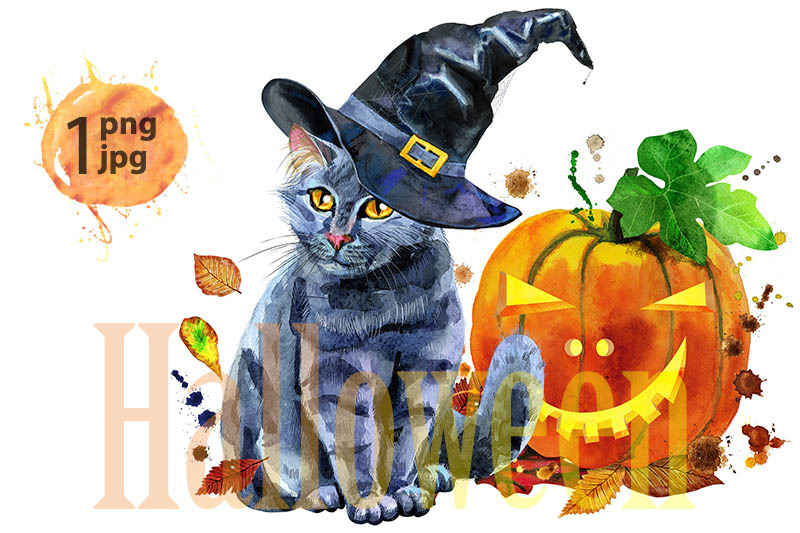 black-cat-in-a-witch-039-s-hat-next-to-a-pumpkin