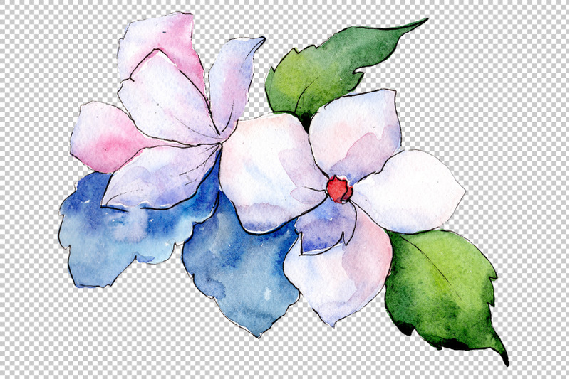 bouquet-folk-wisdom-watercolor-png