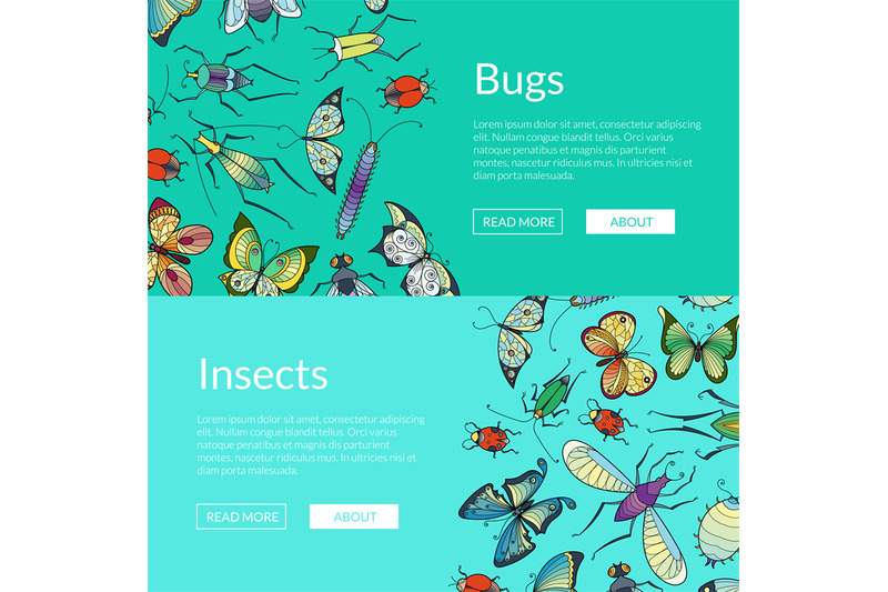 vector-hand-drawn-insects-web-banner-illustration