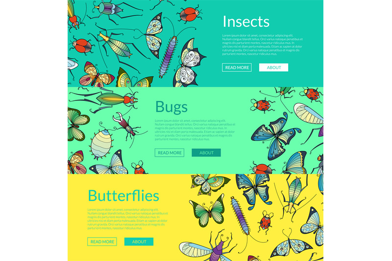 vector-hand-drawn-insects-of-set-colored