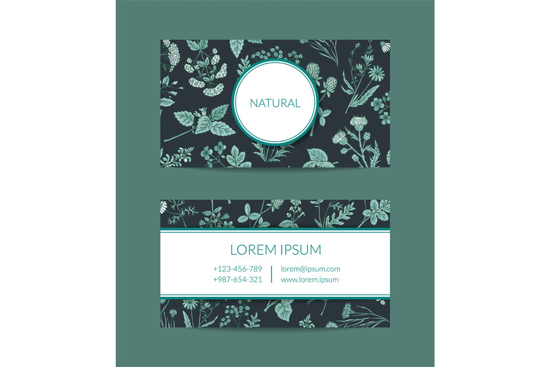 vector-hand-drawn-medical-herbs-business-card-template-for-farmacy-ill