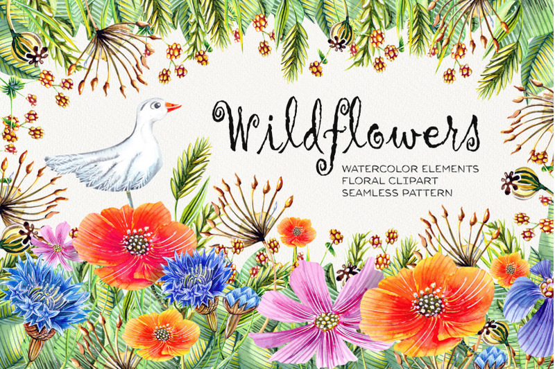 watercolr-wildflowers-clip-art