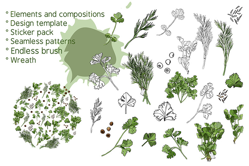 collection-of-hand-drawn-herbs-and-spices-monochrome-amp-color