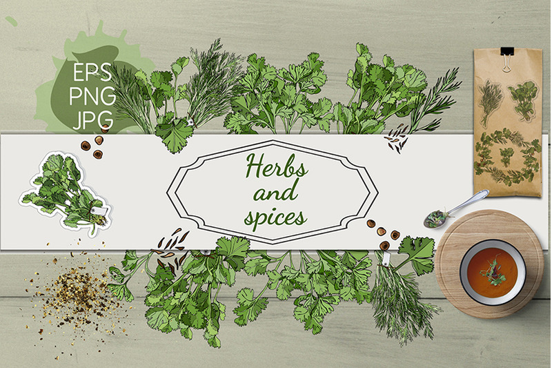 collection-of-hand-drawn-herbs-and-spices-monochrome-amp-color
