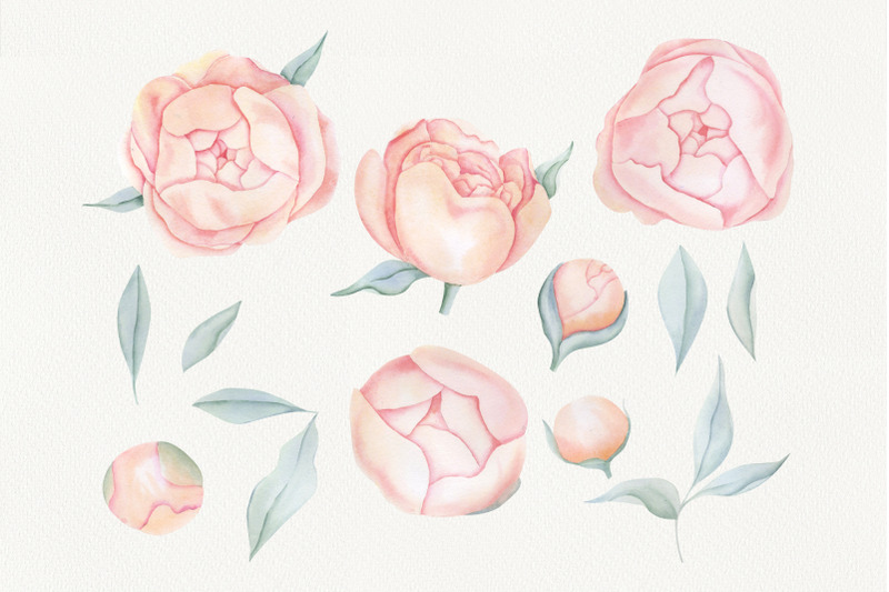 watercolor-peach-roses