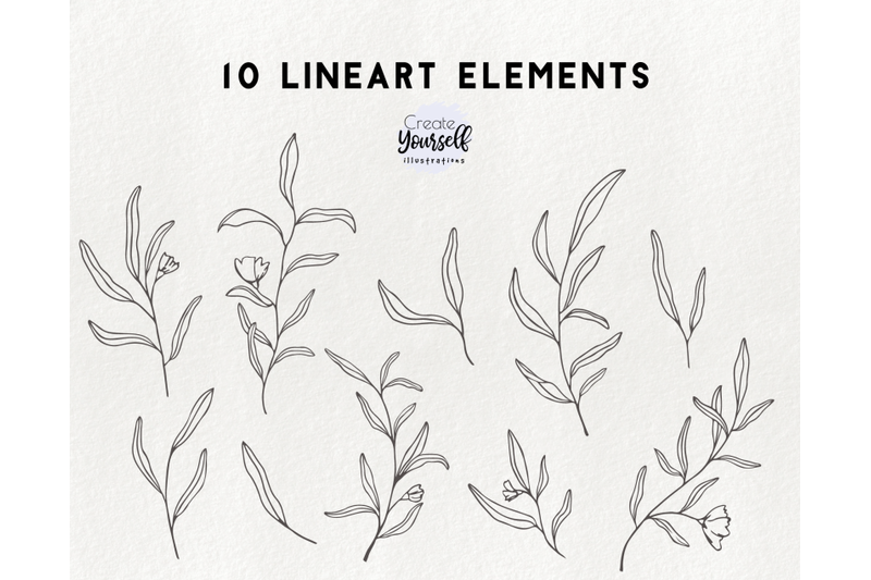 modern-floral-illustration-doodle-botanical-graphics-clipart-elements