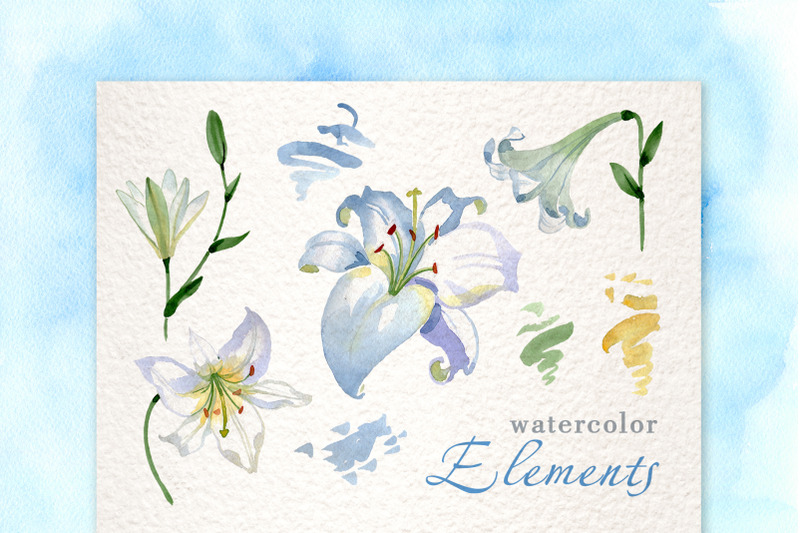 lilies-white-watercolor-png