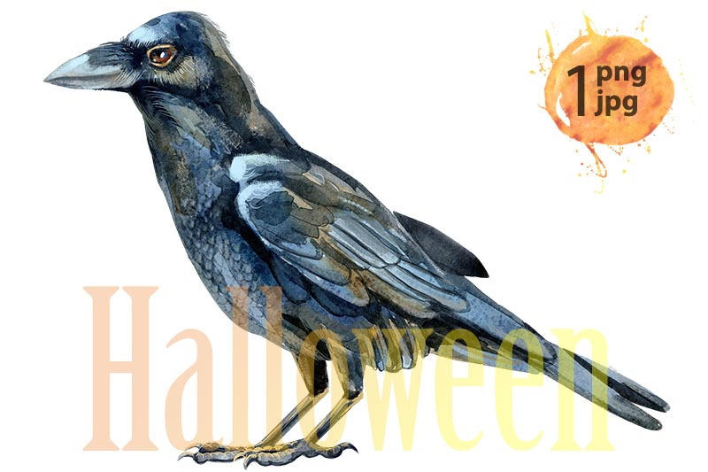 watercolor-single-raven-isolated-on-a-white-background-illustration