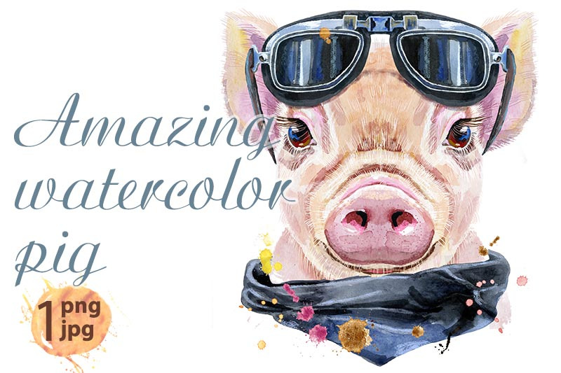 watercolor-portrait-of-mini-pig-biker-sunglasses