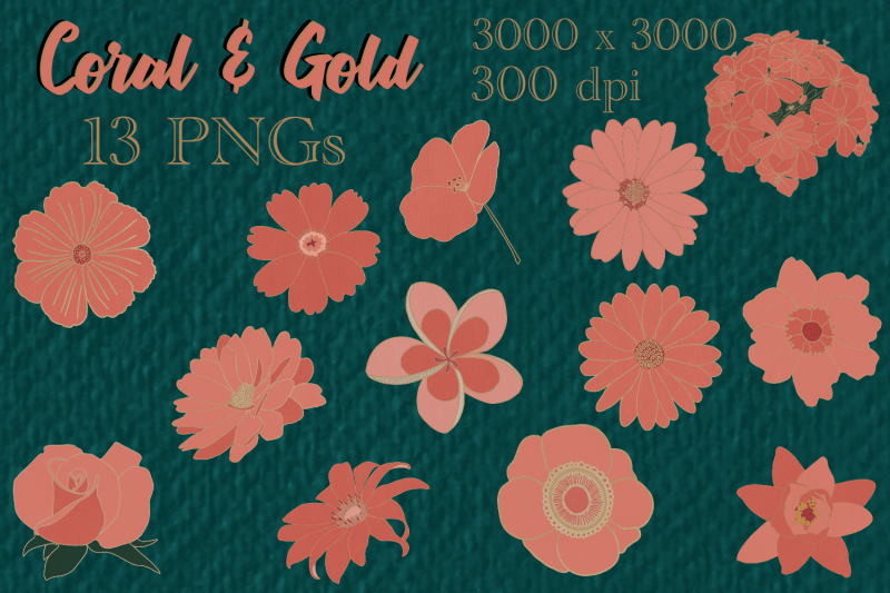 coral-and-gold-flower-pack