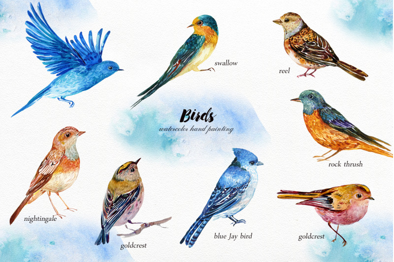 collection-birds-clipart-30-watercolor-birds