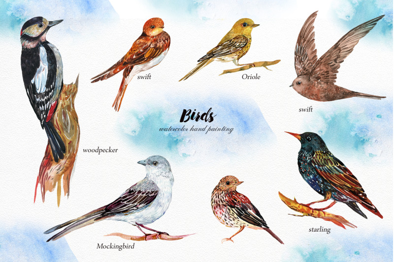 collection-birds-clipart-30-watercolor-birds