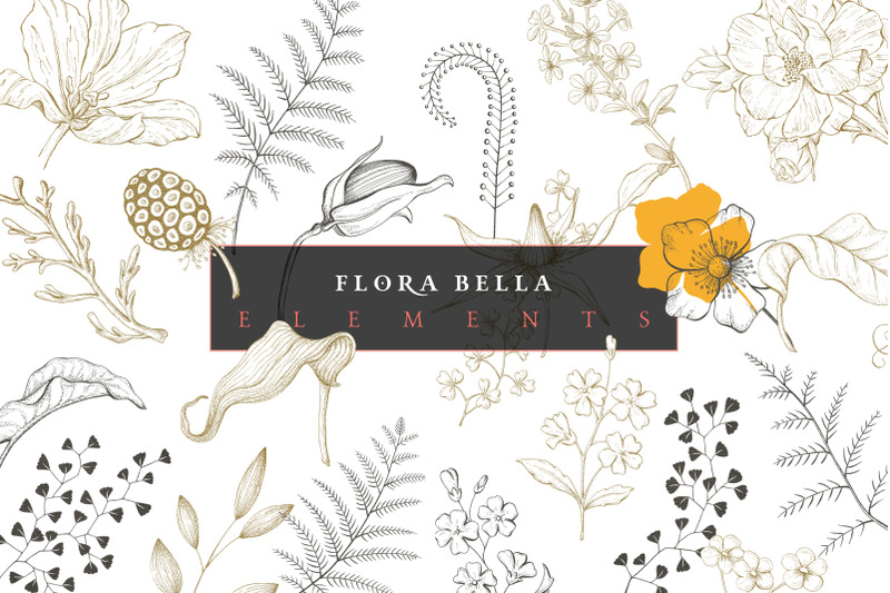 florabella-botanical-set