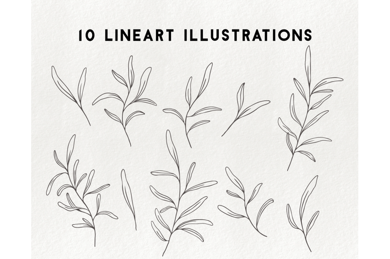 modern-botanical-illustrations-doodle-branch-clipart-floral-element