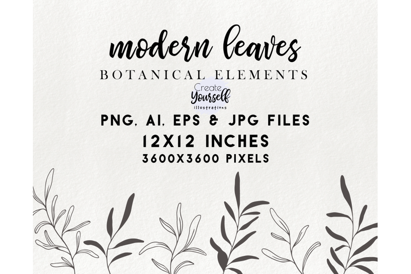 modern-botanical-illustrations-doodle-branch-clipart-floral-element