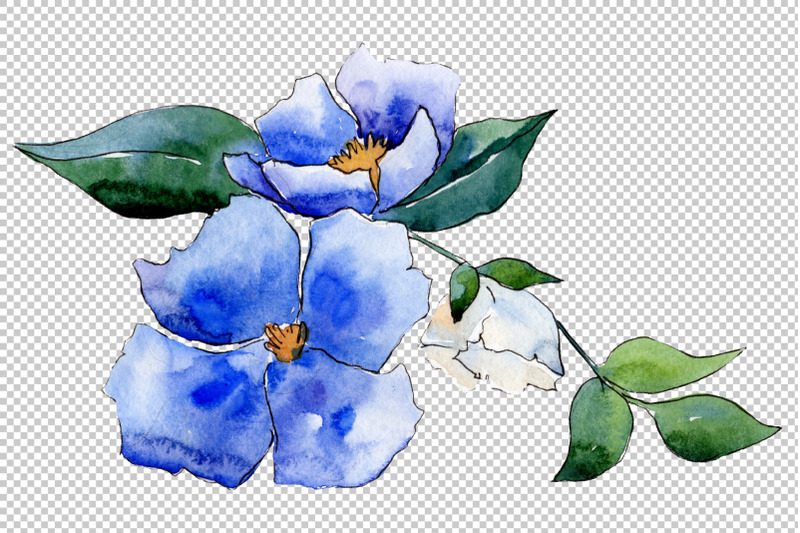 flower-symphony-watercolor-png