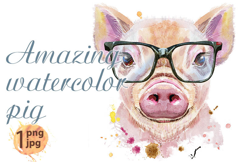 watercolor-portrait-of-mini-pig-with-glasses