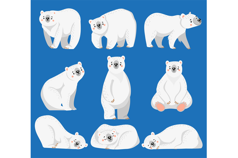 cartoon-polar-bear-white-bears-arctic-wild-animal-and-snow-bear-isol