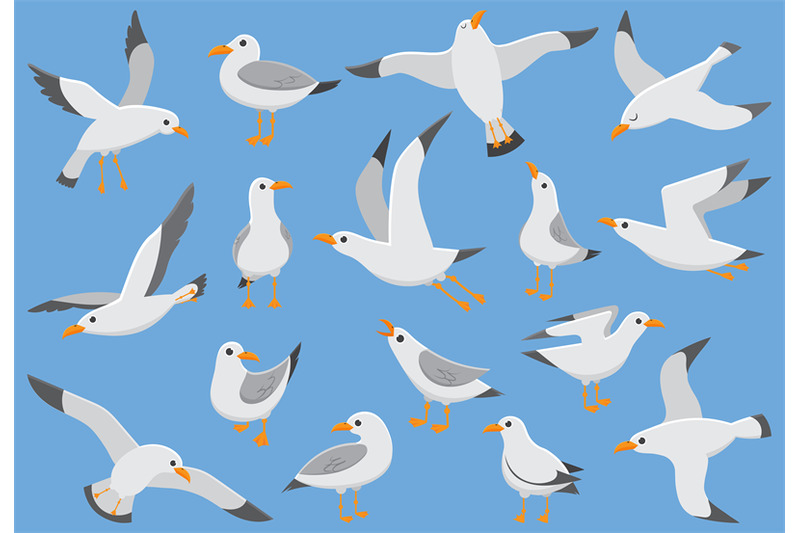 atlantic-white-seabird-fly-at-sky-beach-seagull-at-quay-sea-birds-g