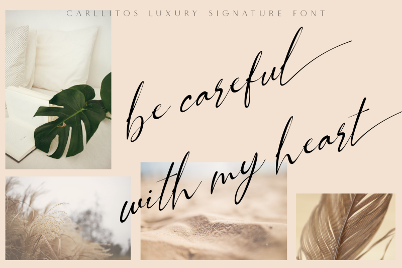 carllitos-luxury-signature-font