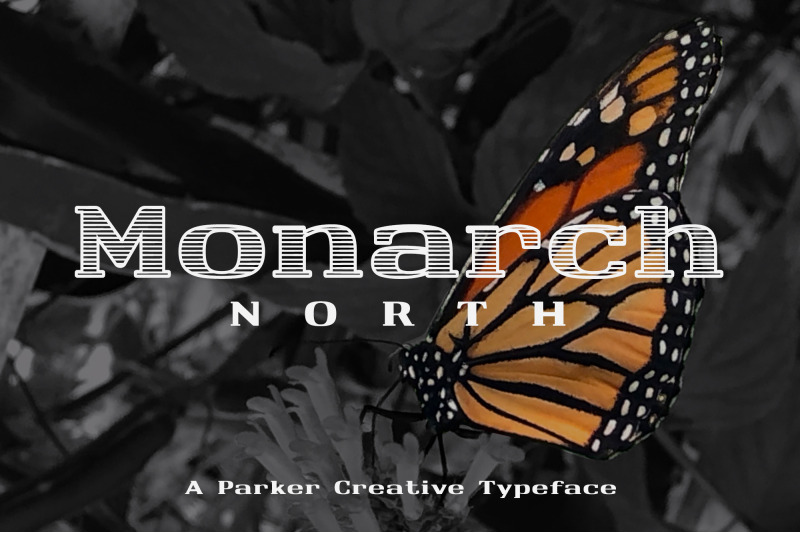 monarch-north-line-hatch-font