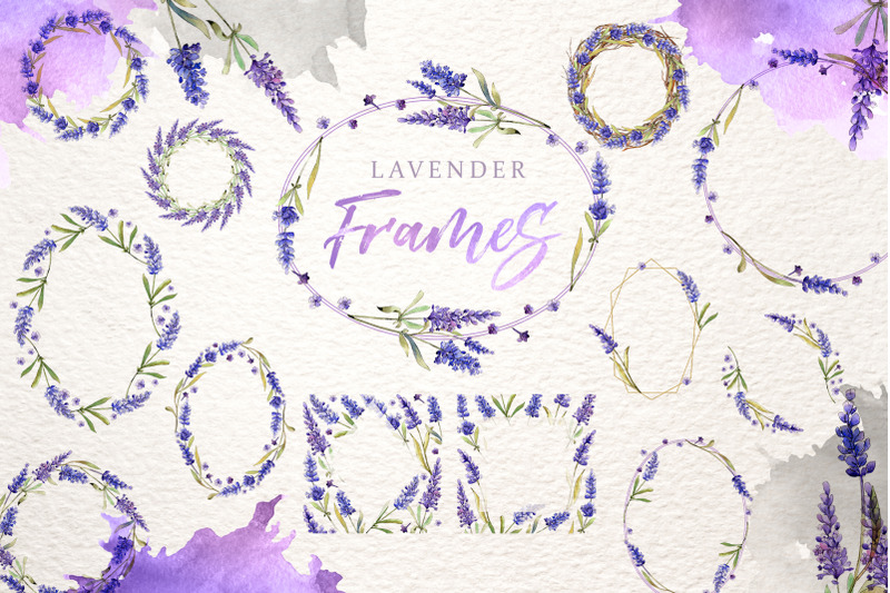 watercolor-lavender-clipart-digital-flowers-clipart-hand-painted