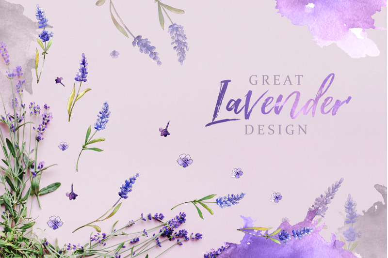 watercolor-lavender-clipart-digital-flowers-clipart-hand-painted