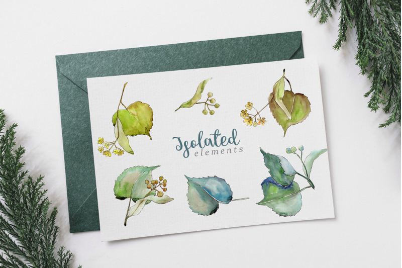 linden-watercolor-leaves-clipart-hand-painted